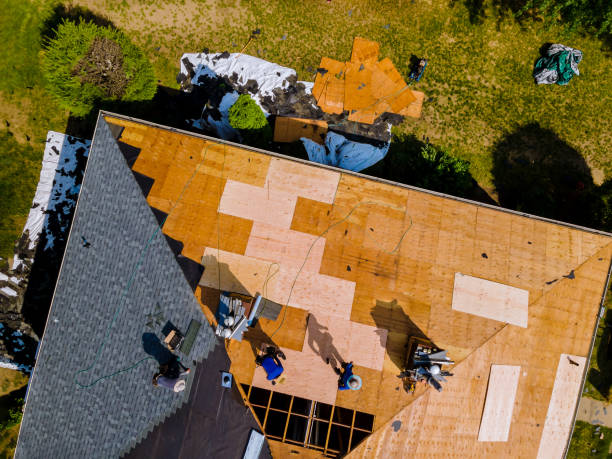 Best Local Roofing Companies  in Horseshoe Bend, AR
